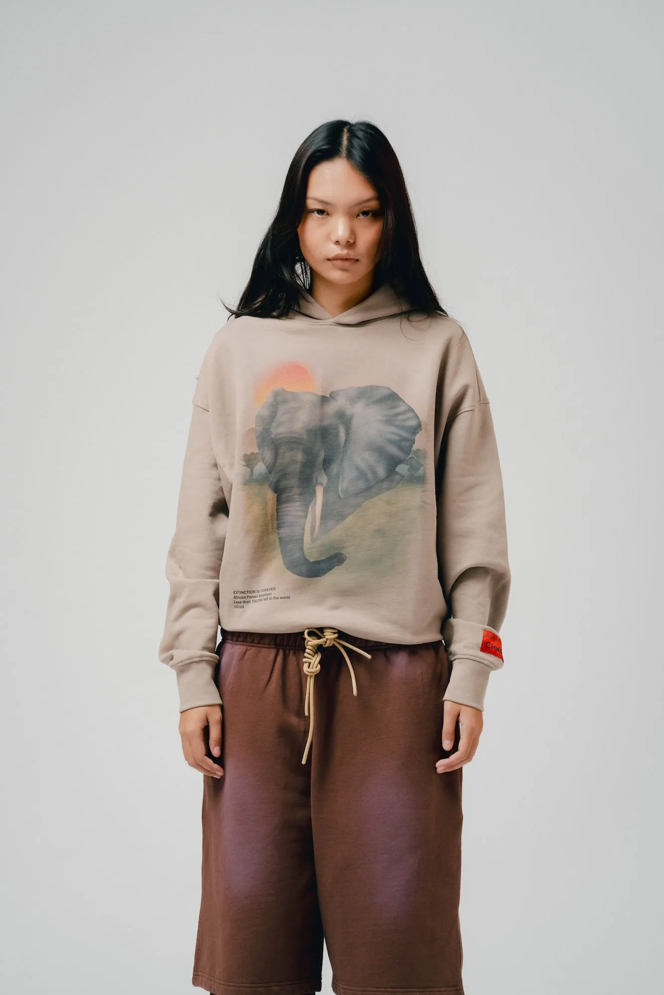 African Forest Elephant Hoodie (Taupe)