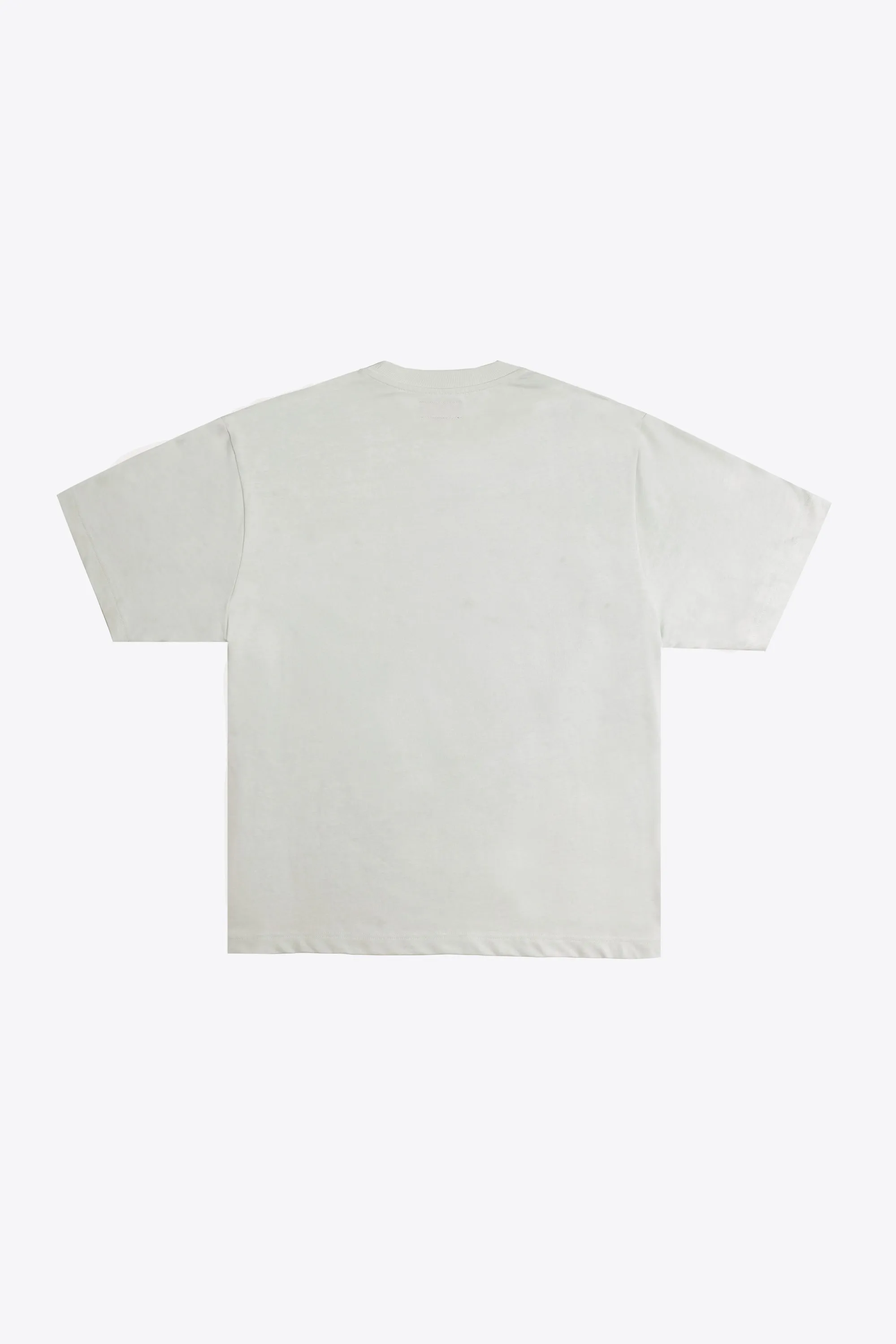 Banned Books T-Shirt (bone)