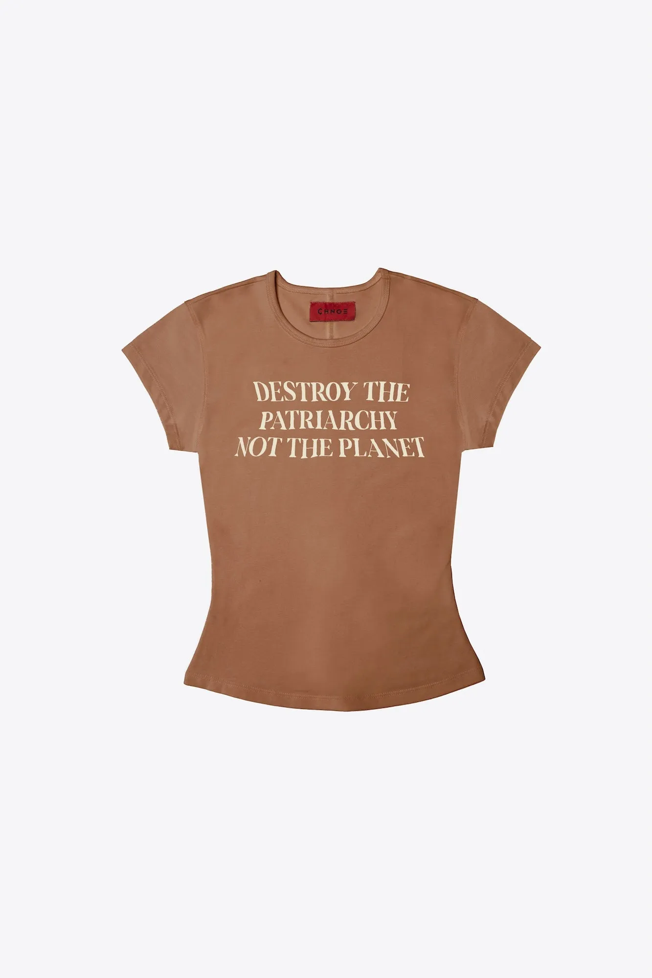 Destroy the Patriarchy Not the Planet Mini Tee (Claydust)