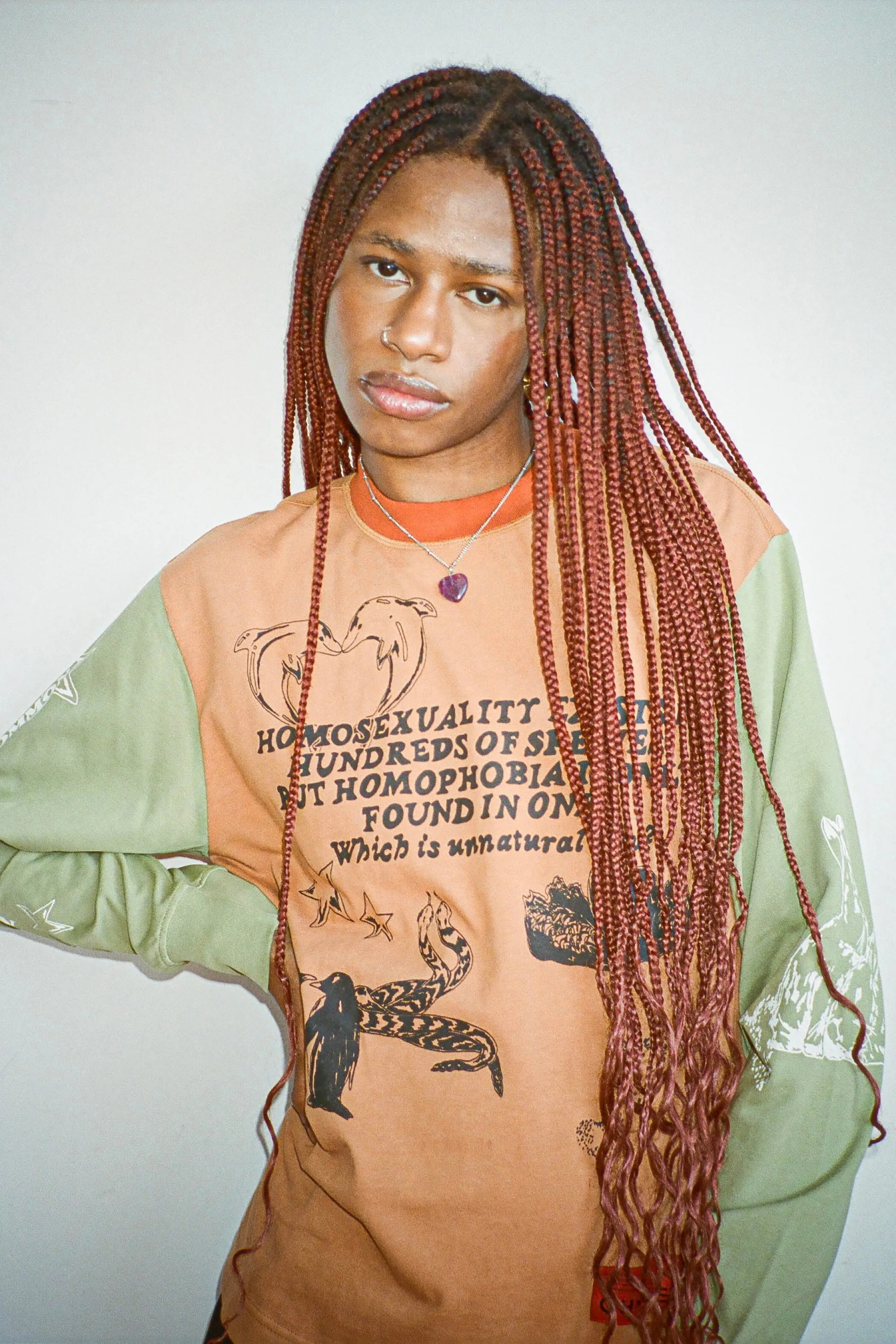 Homosexuality is Natural L/S Tee